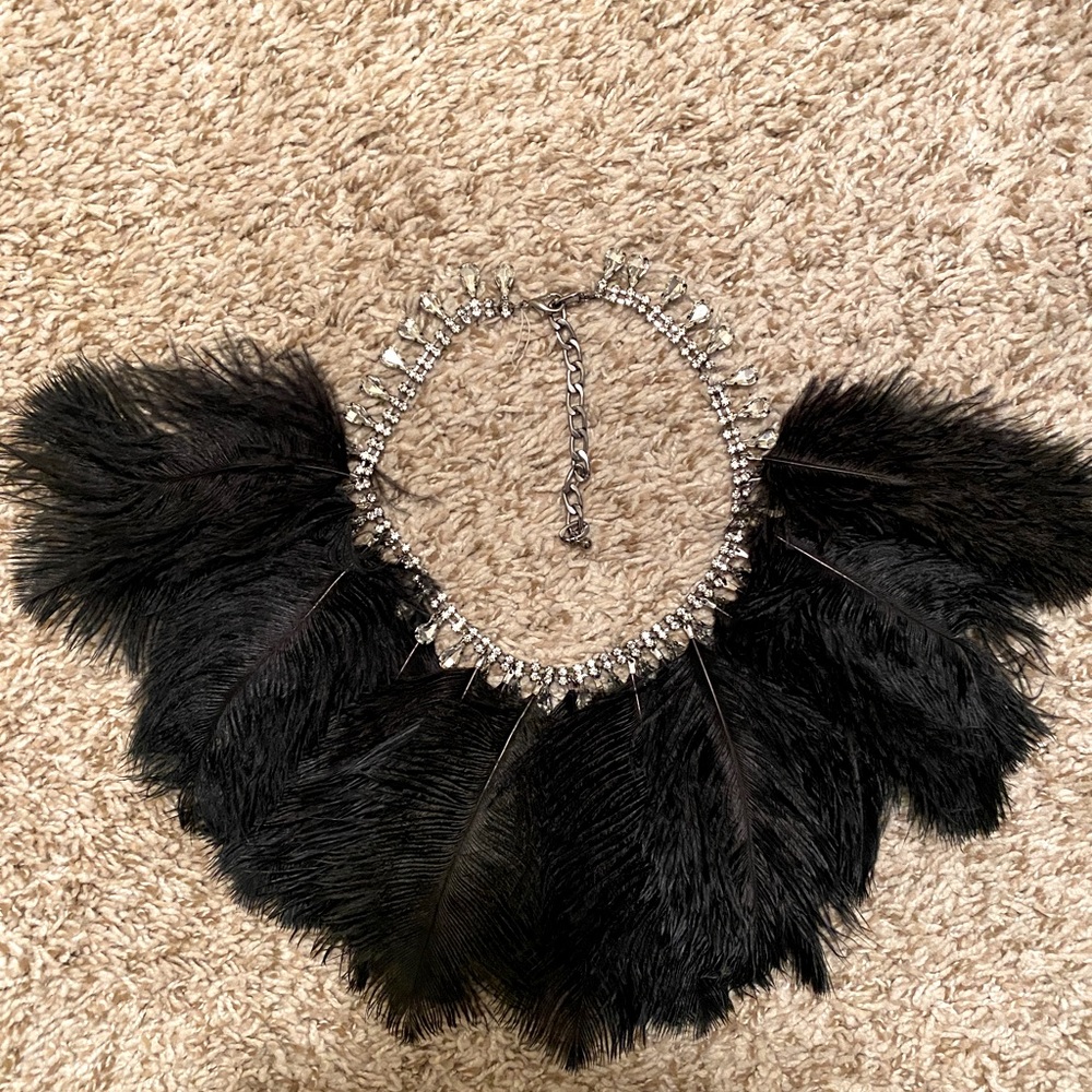 Faux Black Feather/jeweled Necklace (Dillard Store Purchase)